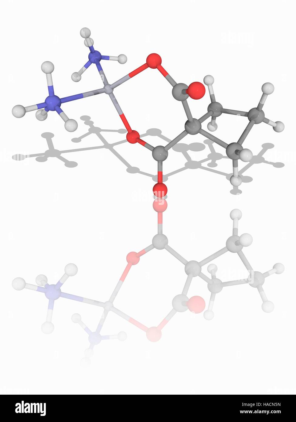 Carboplatin. Molekulares Modell des Krebs Medikament Carboplatin (C6. H12. N2. O4. (PT). Dieses Medikament ist zur Behandlung von Eierstockkrebs Karzinom, Lunge, Kopf und Hals. Es ist ein zytotoxische Medikament, denn es stört die DNA (Desoxyribonukleinsäure) genetisches Material in Krebszellen Zelltod verursachen. Atome als Kugeln dargestellt werden und sind farblich gekennzeichnet: Kohlenstoff (grau), Wasserstoff (weiß), Stickstoff (blau), Sauerstoff (rot) und Platin (grau, oben links) Abbildung. Stockfoto