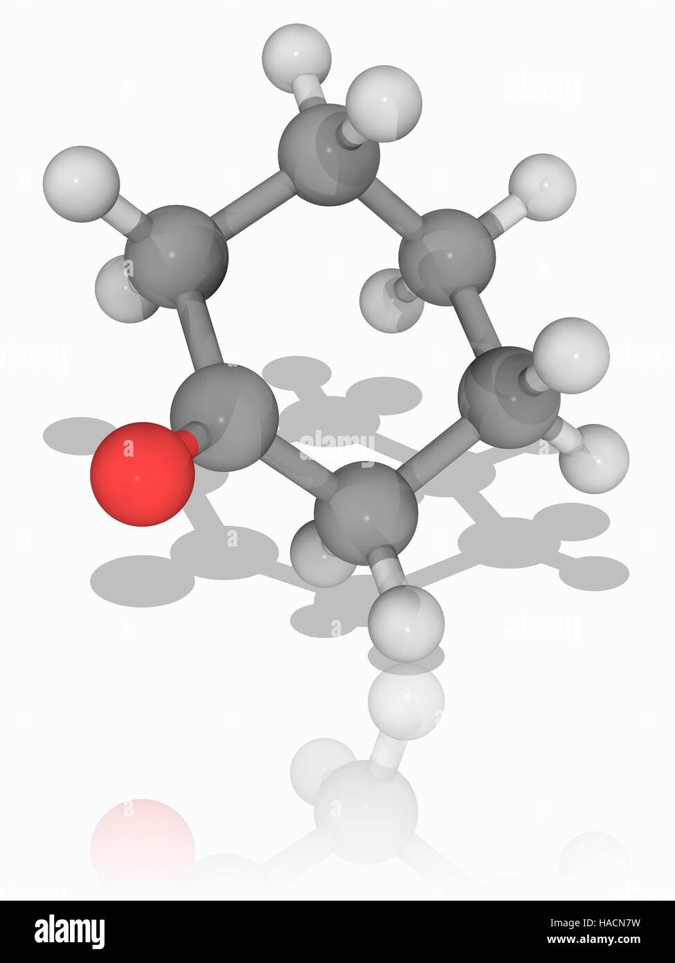 Cyclohexanon. Molekulares Modell des organischen Verbindung Cyclohexanon (C6. H10. (O). Dies ist ein farbloses Oithat ist ein Vorläufer in der chemischen Industrie bei der Herstellung von Nylon. Atome als Kugeln dargestellt werden und sind farblich gekennzeichnet: Kohlenstoff (grau), Wasserstoff (weiß) und Sauerstoff (rot). Abbildung. Stockfoto