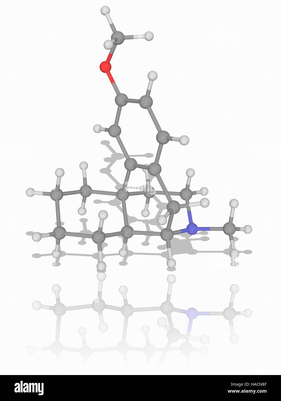 Dextromethorphan. Molekulares Modell des Anti-Husten (Anti-Hustenmitteln) Wirkstoff Dextromethorphan (C18. H25. NAVI). Atome als Kugeln dargestellt werden und sind farblich gekennzeichnet: Kohlenstoff (grau), Wasserstoff (weiß), Stickstoff (blau) und Sauerstoff (rot). Abbildung. Stockfoto