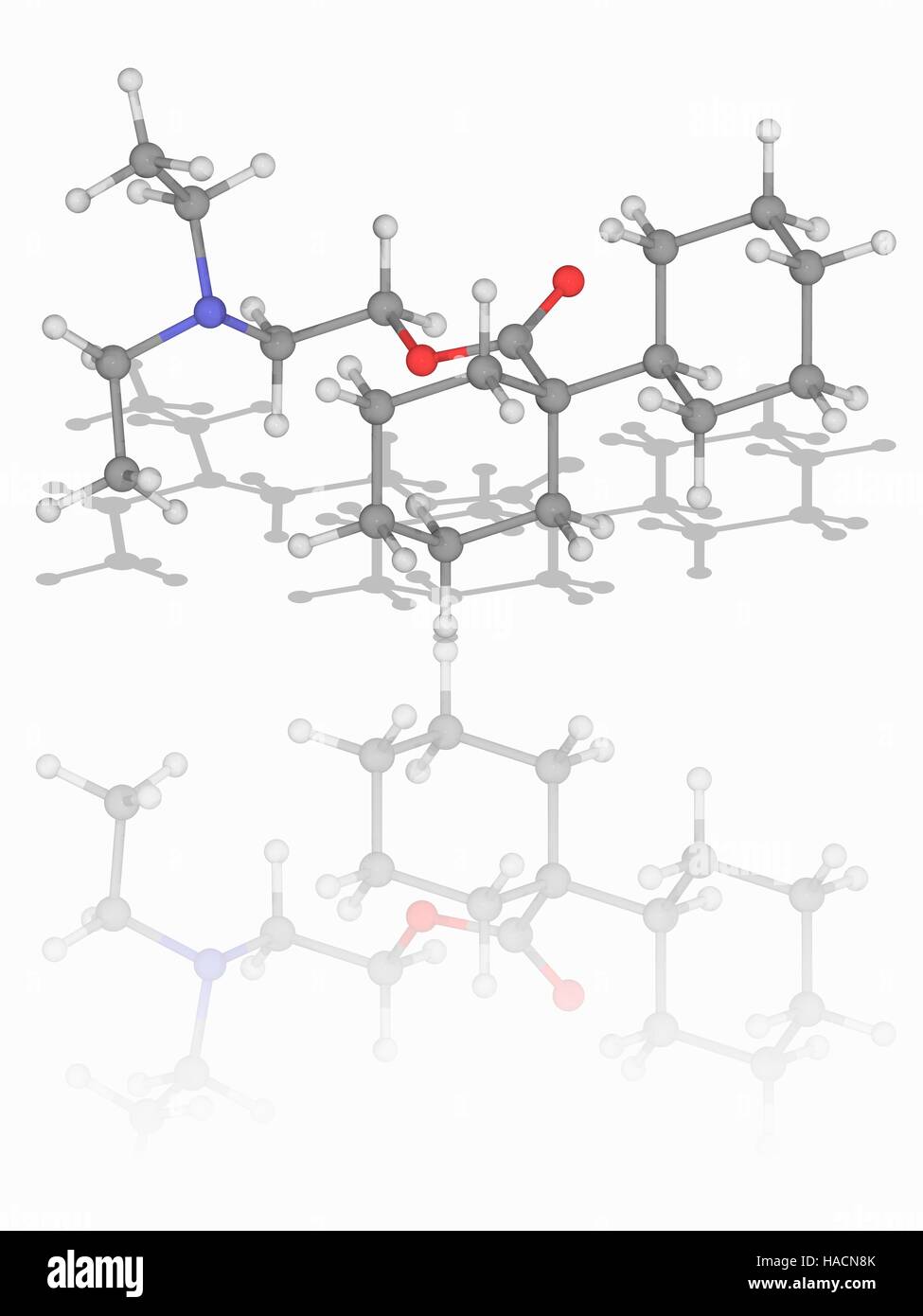 Dicyclomine. Molekulares Modell des Medikaments Dicyclomine (C19. H35. N.O2), auch bekannt als Dicycloverine. Dies ist eine Anti-cholinergen (Blocker von Acetylcholin) zur Behandlung von Darm Hypermotilität, die Symptome des Reizdarm. Atome als Kugeln dargestellt werden und sind farblich gekennzeichnet: Kohlenstoff (grau), Wasserstoff (weiß), Stickstoff (blau) und Sauerstoff (rot). Abbildung. Stockfoto