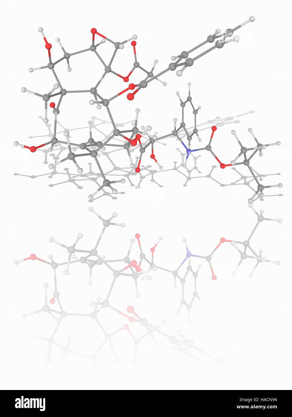 Docetaxel. Molekulares Modell des Anti-Krebs-Medikament Docetaxel (C43.  H53. N.O14). Dieses Anti-mitotische Chemotherapie Medikament bekannt auch  durch seine Handelsnamen Taxotere oder Docecad. Atome als Kugeln  dargestellt werden und sind farblich ...