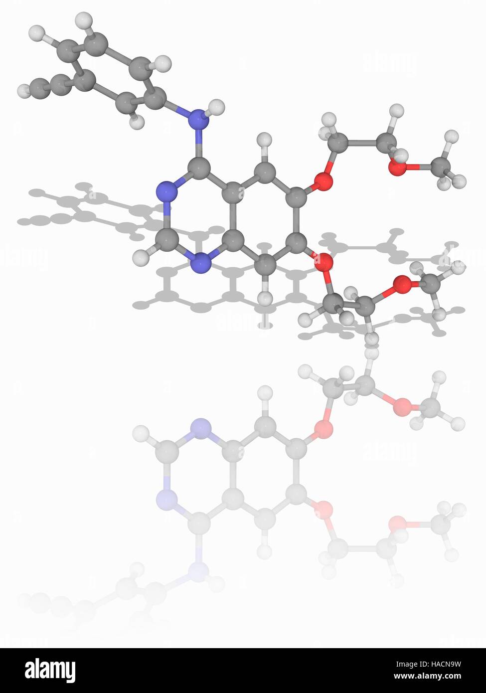 Erlotinib. Molekülmodell für die Chemotherapie Medikament Erlotinib (C22. H23. N3. O4). Dieses Medikament wird zur Behandlung von nicht-kleinzelligem Lungenkrebs, Bauchspeicheldrüsenkrebs und andere Arten von Krebs. Atome als Kugeln dargestellt werden und sind farblich gekennzeichnet: Kohlenstoff (grau), Wasserstoff (weiß), Stickstoff (blau) und Sauerstoff (rot). Abbildung. Stockfoto