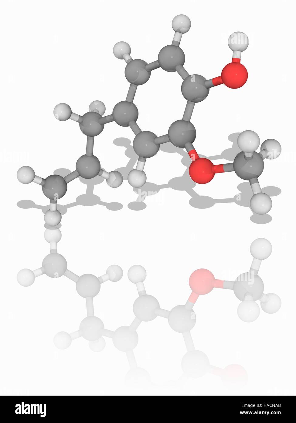 Eugenol. Molekulares Modell des Phenylpropene chemische Eugenol (C10. H12.  O2). Dies ist eine hellgelbe ölige Flüssigkeit entzogen werden bestimmte  ätherische Öle, vor allem aus Nelkenöl, Muskatnuss, Zimt, Basilikum und  Lorbeer. Es wird