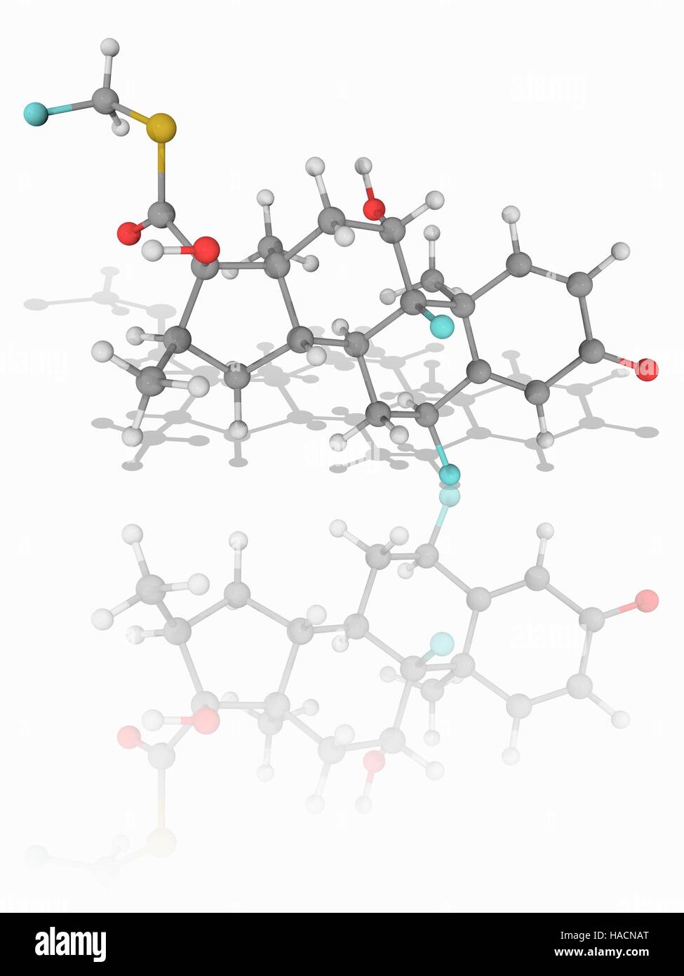 Fluticason. Molekulares Modell des synthetischen Steroidhormon Fluticason (C22. H27. F3. O4. (S), eine Chemikalie, die an den Glucocorticoid-Rezeptor bindet. Als Medikament Fluticason Propionat wird es zur Behandlung von Asthma und Heuschnupfen. Atome als Kugeln dargestellt werden und sind farblich gekennzeichnet: Kohlenstoff (grau), Wasserstoff (weiß), Sauerstoff (rot), Schwefel (gelb) und Fluor (Cyan). Abbildung. Stockfoto