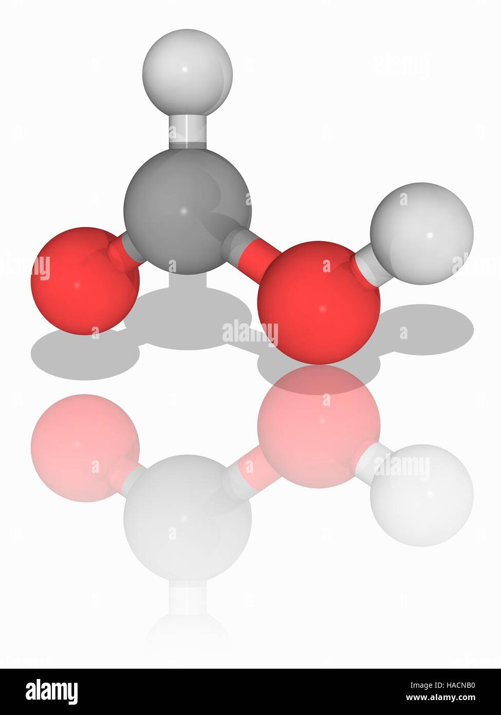 Ameisensäure. Molekulares Modell des natürlich vorkommenden Acid Ameisensäure (C.H2. O2), auch bekannt als Methanoic Säure. Die einfachste Carbonsäure, findet es in Stiche von Bienen und Ameisen. Es ist auch ein wichtiges Zwischenprodukt in der chemischen Synthese. Atome als Kugeln dargestellt werden und sind farblich gekennzeichnet: Kohlenstoff (grau), Wasserstoff (weiß) und Sauerstoff (rot). Abbildung. Stockfoto