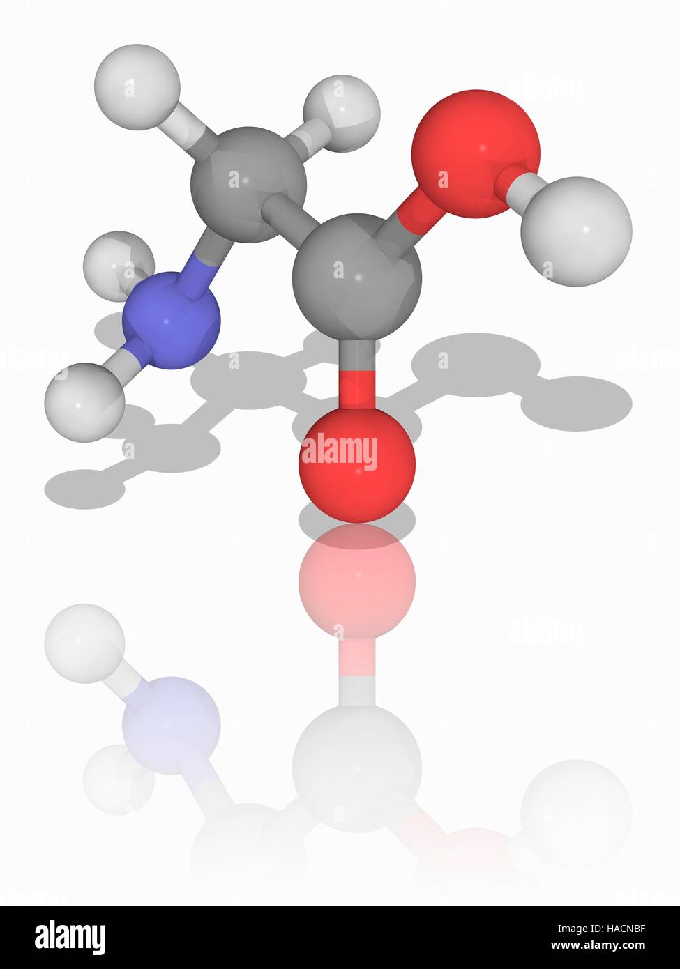Glycin. Molekülmodell der Aminosäure Glycin (C2. H5. N.O2). Dies ist die kleinste der zwanzig Aminosäuren in den Proteinen gefunden. Atome als Kugeln dargestellt werden und sind farblich gekennzeichnet: Kohlenstoff (grau), Wasserstoff (weiß), Stickstoff (blau) und Sauerstoff (rot). Abbildung. Stockfoto