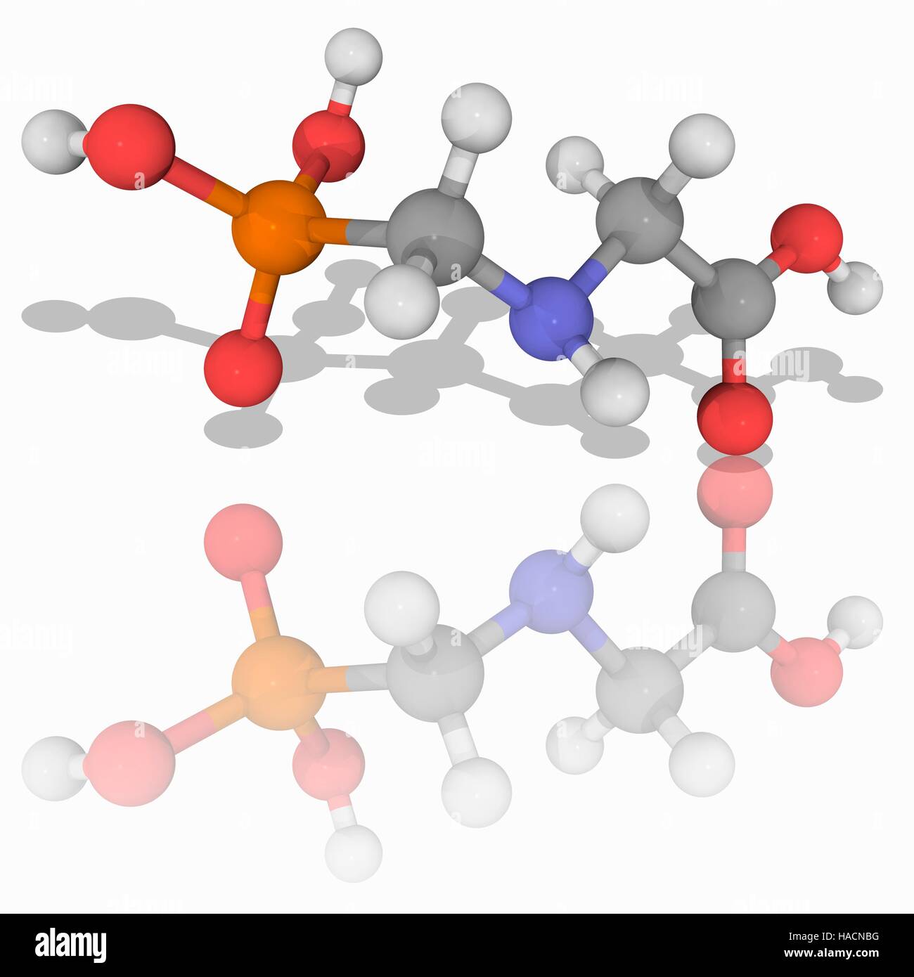 Glyphosat. Molekülmodell von Unkrautvernichter Glyphosat (C3. H8. N.O5. (P), ein Ausgedehntspektrum Herbizid. Atome als Kugeln dargestellt werden und sind farblich gekennzeichnet: Kohlenstoff (grau), Wasserstoff (weiß), Stickstoff (blau), Sauerstoff (rot) und Phosphor (Orange). Abbildung. Stockfoto