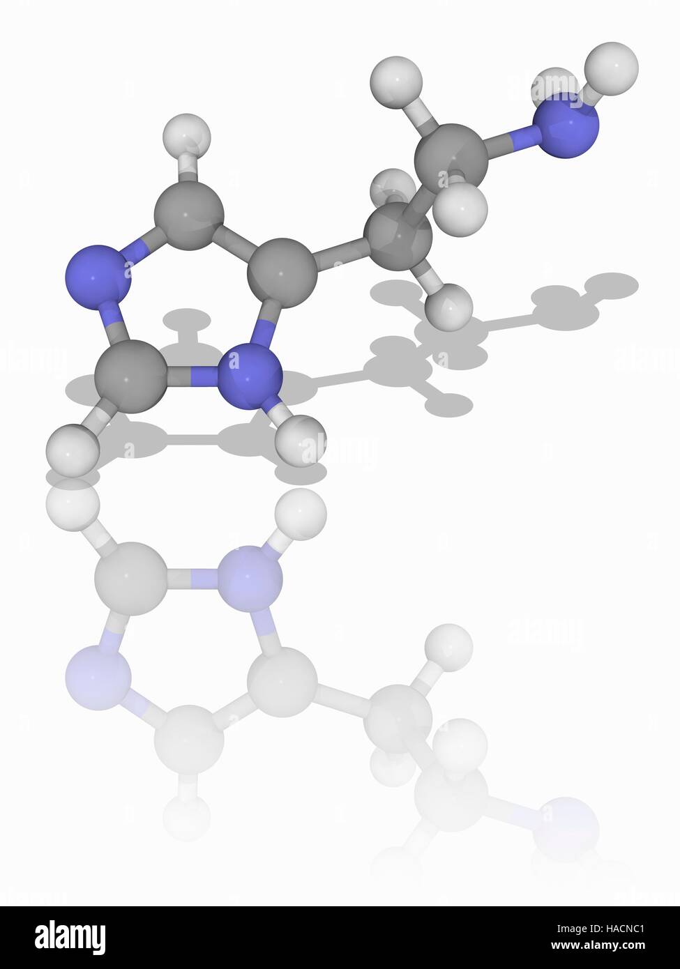 Histamin. Molekülmodell des immunstimulierende und Neurotransmitters Histamin (C5. H9. N3). Dies ist eine organische Stickstoffverbindung an der Immunantwort beteiligt. Atome als Kugeln dargestellt werden und sind farblich gekennzeichnet: Kohlenstoff (grau), Wasserstoff (weiß) und Stickstoff (blau). Abbildung. Stockfoto