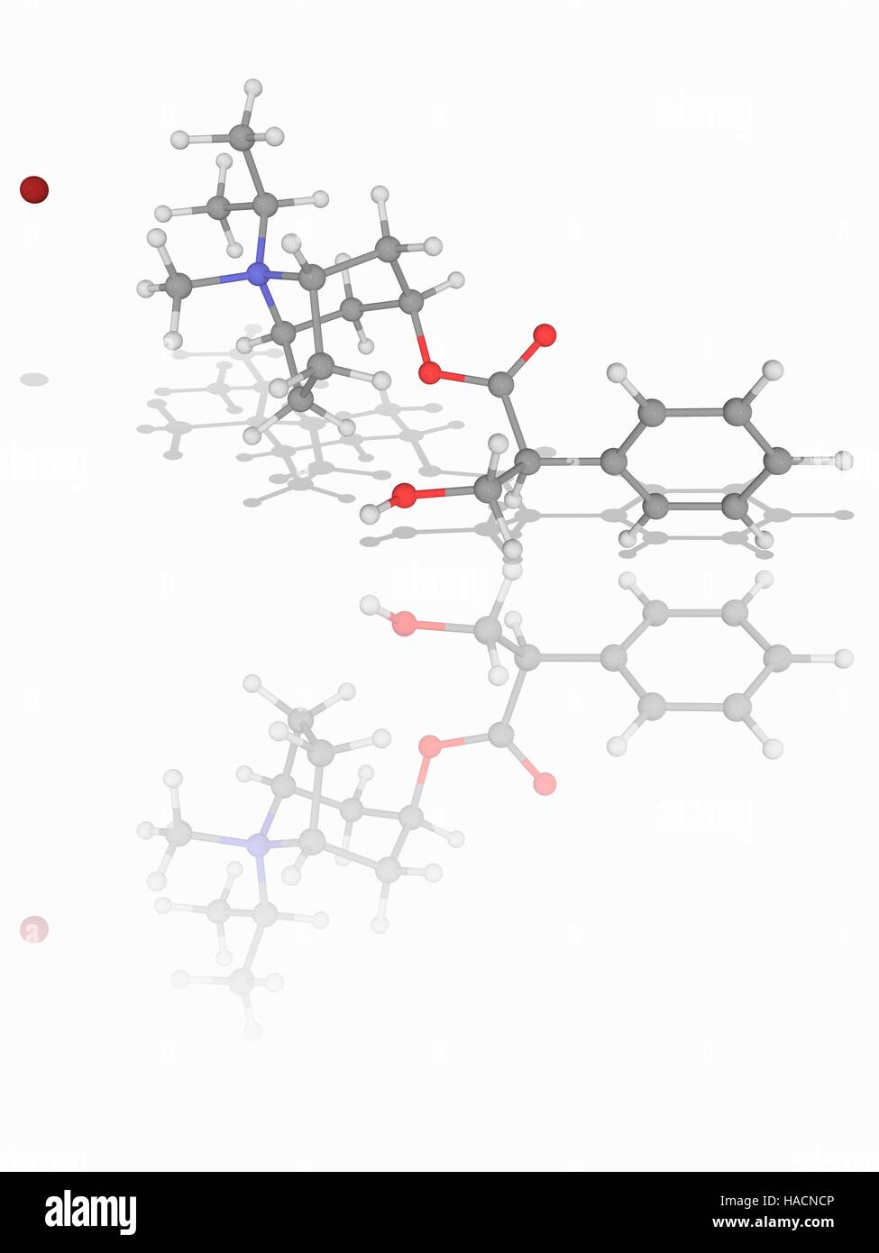 Ipratropium Bromid. Molekülmodell von Anticholinergika Medikament Ipratropium Bromid (C20. H30. Br.N.O3). Dies wird verwendet für die Behandlung akuter Asthma und chronisch obstruktive Lungenerkrankung. Es wirkt durch die Blockade der Acetylcholin-Rezeptoren. Atome als Kugeln dargestellt werden und sind farblich gekennzeichnet: Kohlenstoff (grau), Wasserstoff (weiß), Stickstoff (blau), Sauerstoff (rot) und Brom (braun, Brom Ion auf der linken Seite). Abbildung. Stockfoto