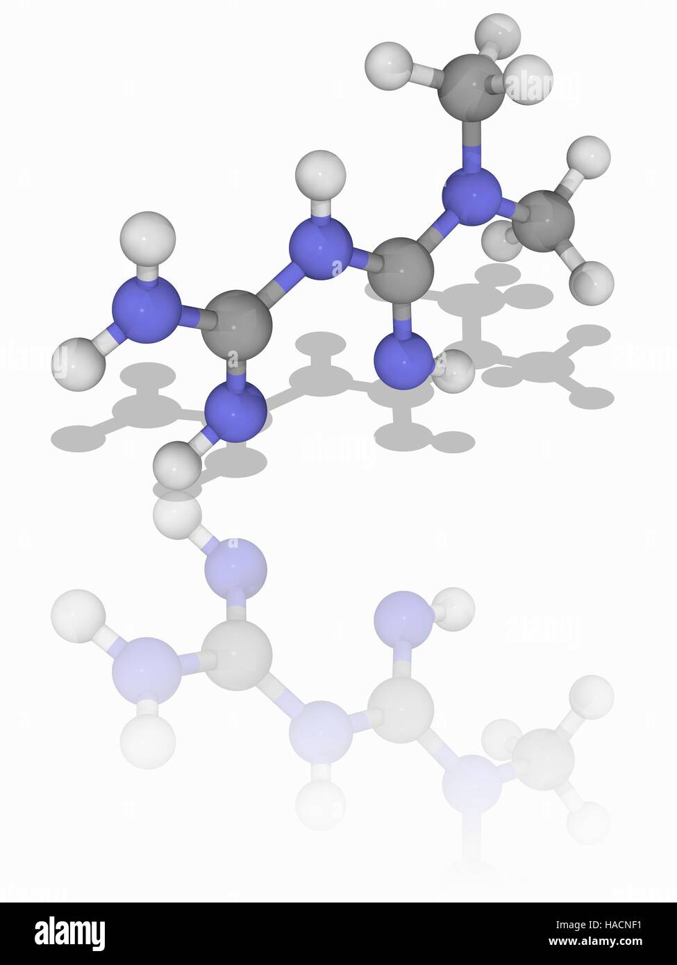 Metformin. Molekulares Modell des Medikaments Metformin (C4. H11. N5), zur Behandlung von Typ-2-Diabetes bei übergewichtigen und adipösen Patienten und Patienten mit normaler Nierenfunktion. Atome als Kugeln dargestellt werden und sind farblich gekennzeichnet: Kohlenstoff (grau) und Wasserstoff (weiß). Abbildung. Stockfoto