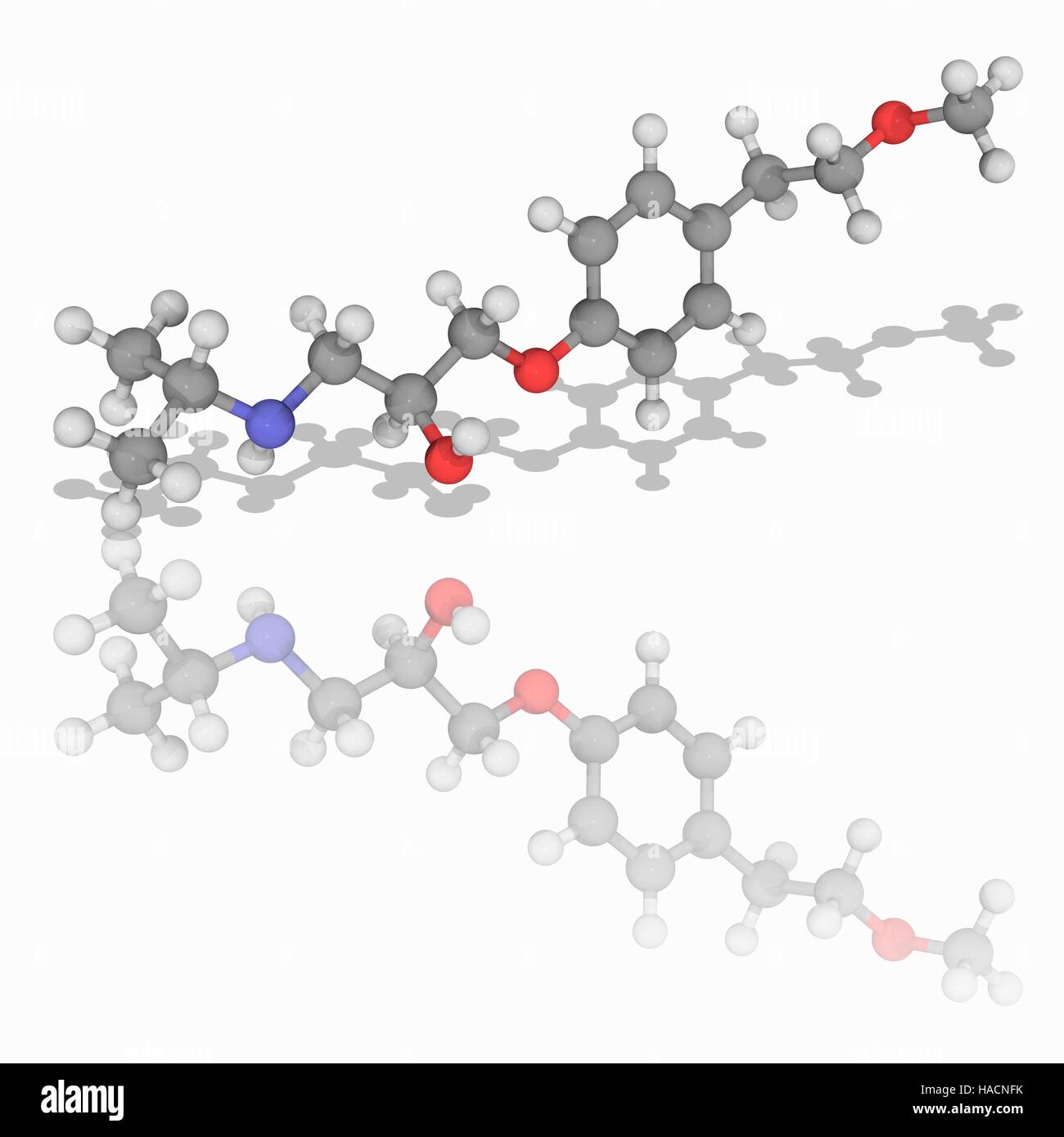 Metoprolol. Molekulares Modell des Medikament Metoprolol (C15. H25. N.O3), ein selektiver Beta-1-Rezeptor-Blocker zur Behandlung von verschiedenen Erkrankungen des Herz-Kreislauf-Systems, vor allem Hypertonie (Bluthochdruck). Atome als Kugeln dargestellt werden und sind farblich gekennzeichnet: Kohlenstoff (grau), Wasserstoff (weiß), Stickstoff (blau) und Sauerstoff (rot). Abbildung. Stockfoto