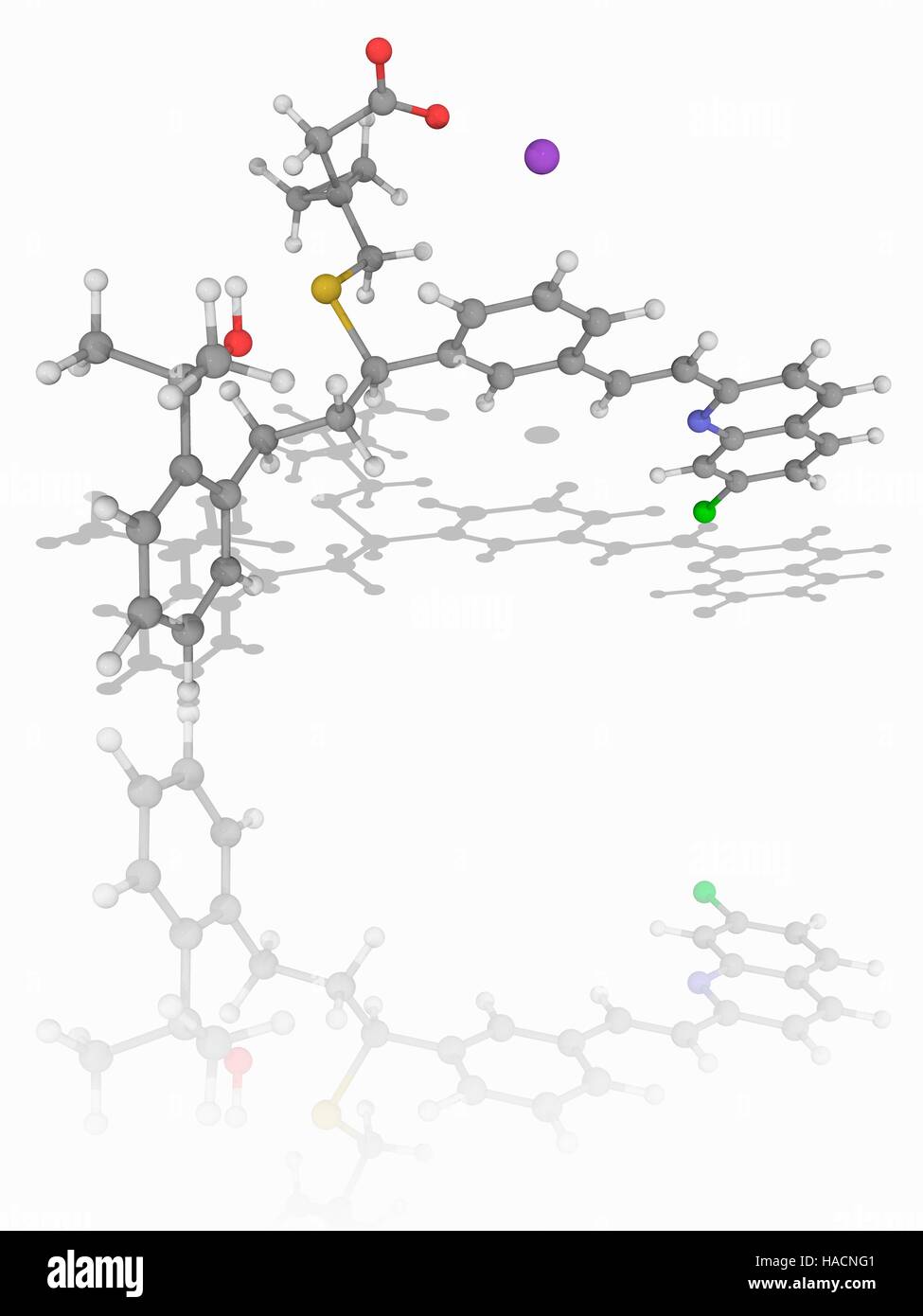 Montelukast Natrium. Molekülmodell von Montelukast Natrium (C35. H36. Cl.N.O3.S.Na), ein Leukotrien-Rezeptor-Antagonisten als Medikament zur Behandlung von Asthma und zur Linderung der Symptome der saisonalen Allergien verwendet. Atome als Kugeln dargestellt werden und sind farblich gekennzeichnet: Kohlenstoff (grau), Wasserstoff (weiß), Stickstoff (blau), Sauerstoff (rot), Chlor (grün), Schwefel (gelb) und Natrium (violett) Abbildung. Stockfoto
