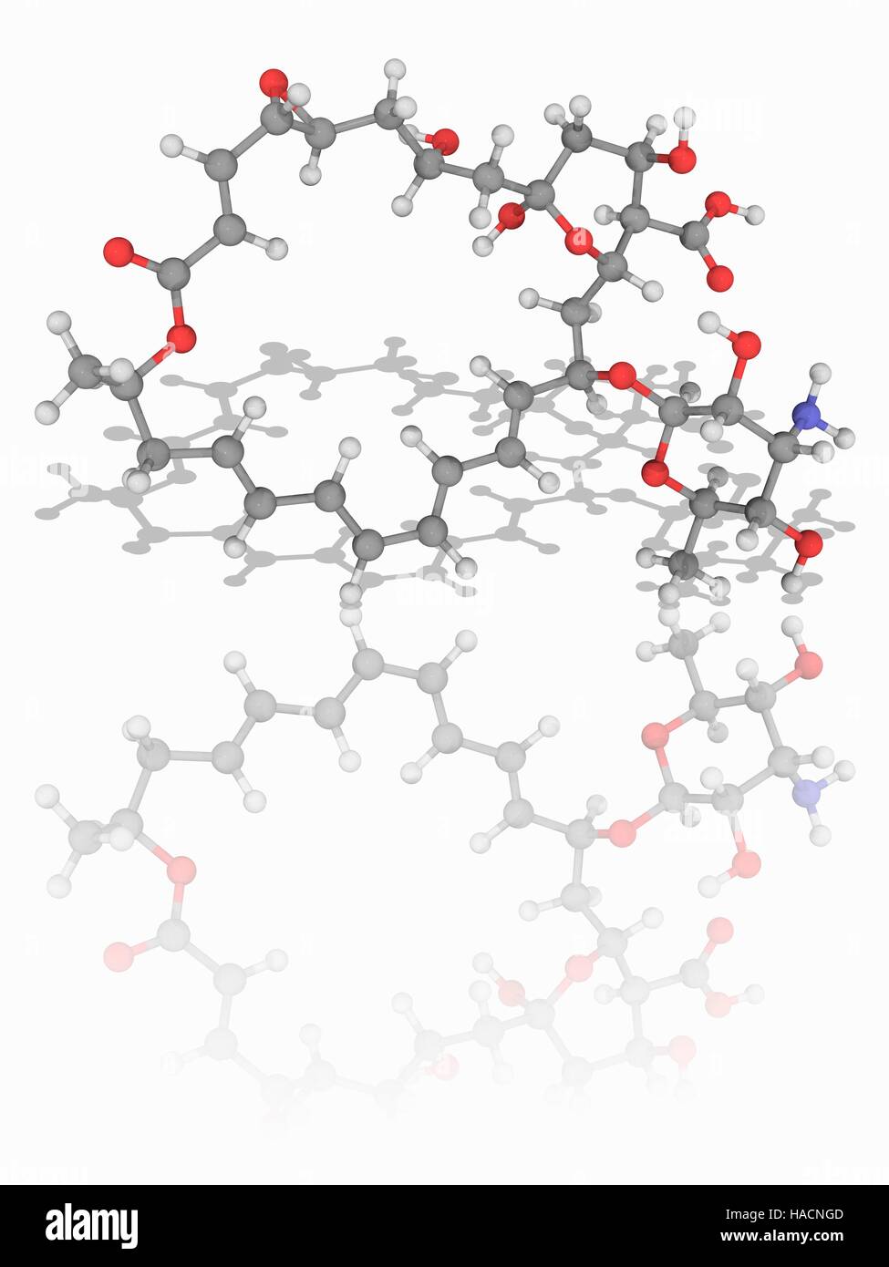 Natamycin. Molekulares Modell des chemischen Natamycin (C33. H47. N.O13),  auch bekannt als Pimaricin. Dies ist ein natürlich vorkommendes  Anti-Pilz-Agent durch das Bakterium Streptomyces Natalensis produziert. Es  wird in der Lebensmittelindustrie, Pilz ...