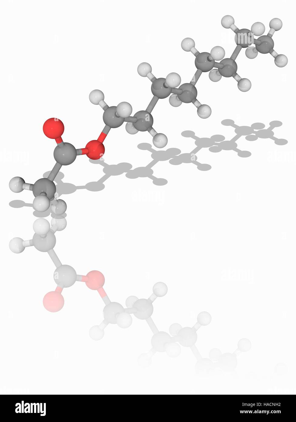 Octyl-Acetat. Molekülmodell der organischen Verbindung Octyl-Acetat (C10.  H20. O2). Von Octanol und Essigsäure gebildet, ist es ein Ester, die als  Grundlage für künstliche Aromastoffe orange verwendet wird. Atome als  Kugeln dargestellt werden