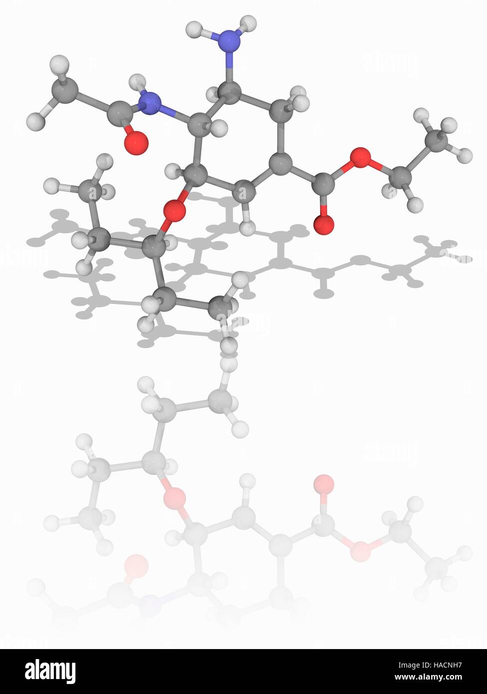 Oseltamivir. Molekülmodell antivirale Medikament Oseltamivir (C16. H28. N2. O4), zur Behandlung und Vorbeugung von Grippe Virus verwendet. Es ist als Tamiflu vermarktet. Atome als Kugeln dargestellt werden und sind farblich gekennzeichnet: Kohlenstoff (grau), Wasserstoff (weiß), Stickstoff (blau) und Sauerstoff (rot). Abbildung. Stockfoto
