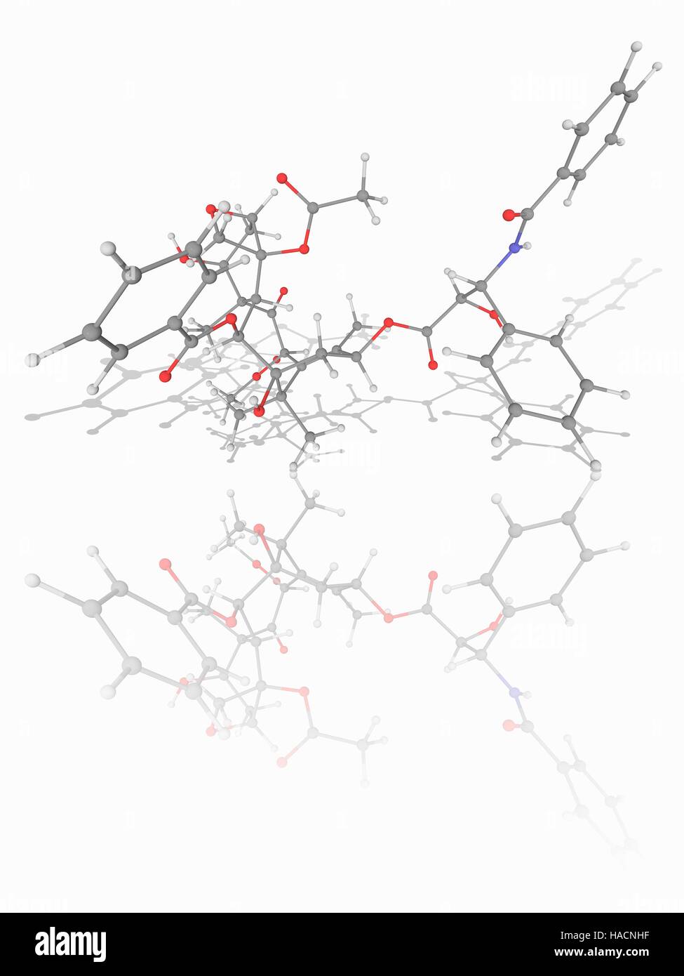 Paclitaxel. Molekülmodell von der Droge Paclitaxel (C47. H51. N.O14), eine mitotische Inhibitor, der in der Krebschemotherapie verwendet wird. Atome als Kugeln dargestellt werden und sind farblich gekennzeichnet: Kohlenstoff (grau), Wasserstoff (weiß), Stickstoff (blau) und Sauerstoff (rot). Abbildung. Stockfoto