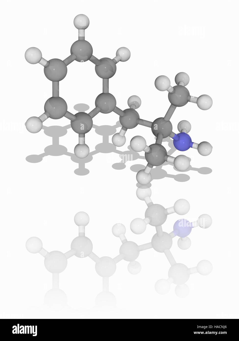 Phentermine. Molekülmodell des Drug Phentermine (C10. H15. (N), ein Psychostimulans und Phenethylamide, auch als Appetitzügler verwendet. Atome als Kugeln dargestellt werden und sind farblich gekennzeichnet: Kohlenstoff (grau), Wasserstoff (weiß) und Stickstoff (blau). Abbildung. Stockfoto