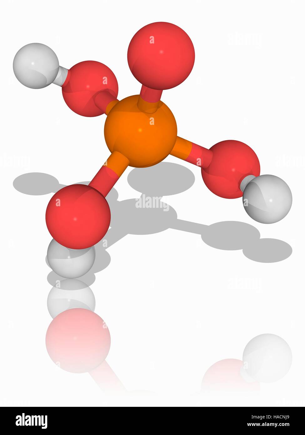 Phosphorsäure. Molekülmodell der anorganischen Verbindung Phosphorsäure  (H3. O4. (P), verwendet eine starke Säure, die mehrere hat unter anderem  als ein Rostumwandler. Atome als Kugeln dargestellt werden und sind  farblich gekennzeichnet: Phosphor (orange),