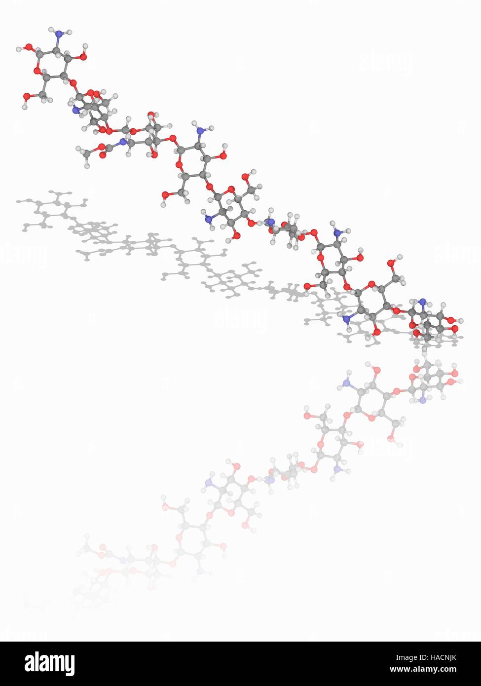 Chitosan-Polymerkette. Molekulares Modell des lineares Polysaccharid Chitosan, auch bekannt als Poliglusam. Diese Chemikalie wird kommerziell durch Deacetylation von Chitin produziert. Die Struktur ist Kette von D-Glucosamin (C6. H13. N.O5) N-Acetyl-D-Glucosamin (C8. H15. N.O6). Die Kette hier ist vor allem Einheiten der Stockfoto