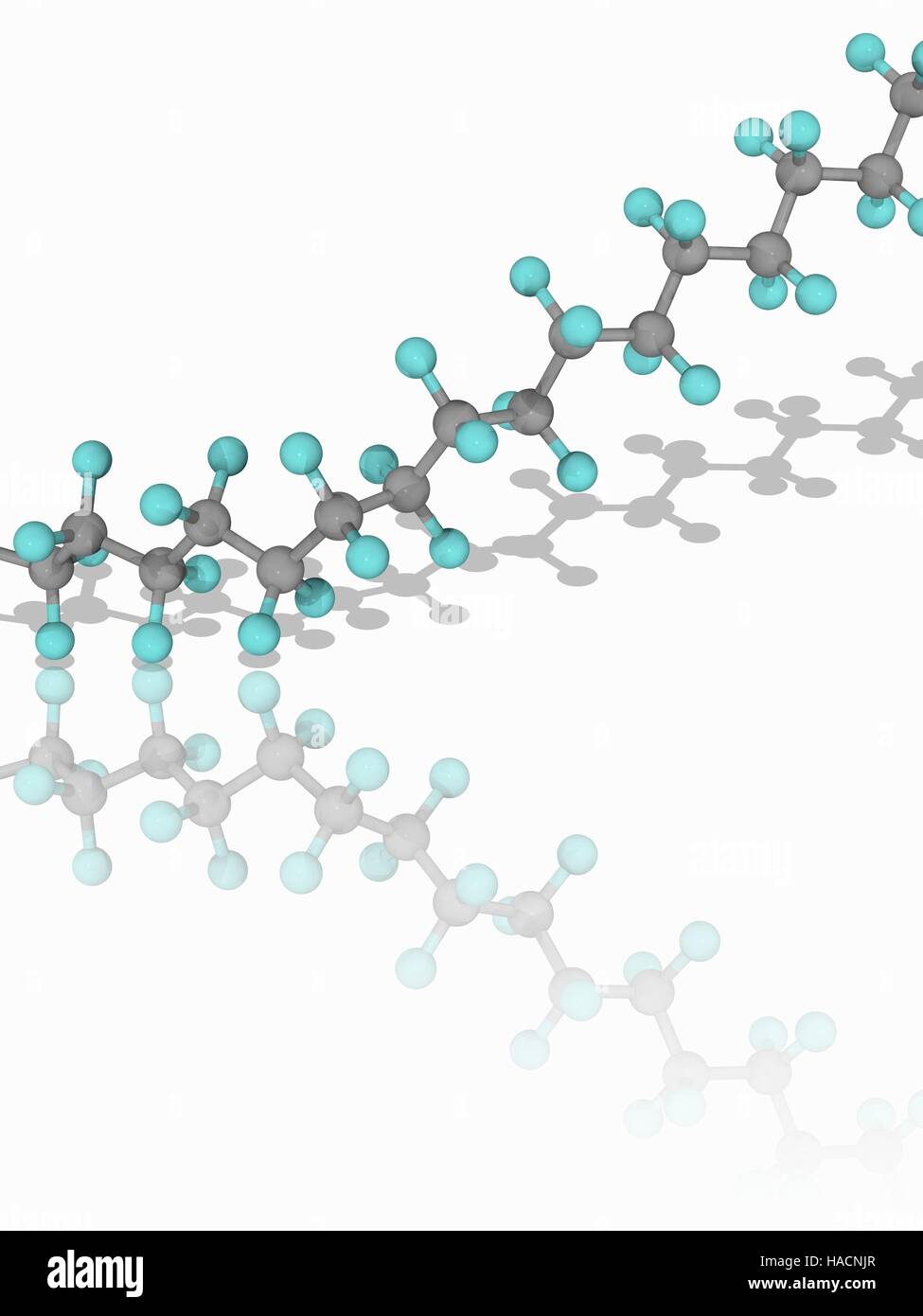 Teflon. Molekulares Modell des Teil einer Kette von synthetische hydrophobe Fluorpolymer Polytetrafluorethylen (PTFE), ein Polymer, bestehend aus Ketten von Monomeren Tetrafluorethylen (C2. F4). PTFE, auch bekannt unter einer von seinen Handelsnamen Teflon, dient als eine Antihaft-Beschichtung für Pfannen. Atome als Kugeln dargestellt werden und sind farblich gekennzeichnet: Kohlenstoff (grau) und Fluor (Cyan). Abbildung. Stockfoto