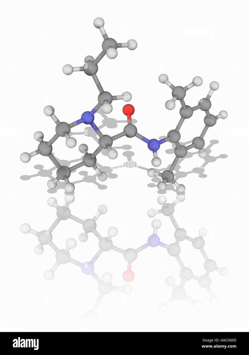 Ropivacain. Molekülmodell des lokalen betäubenden Medikaments (C17. H26. N2. (O), als Naropin vermarktet. Chemisch gesehen ist es ein Piperidin und ein Anilide. Atome als Kugeln dargestellt werden und sind farblich gekennzeichnet: Kohlenstoff (grau), Wasserstoff (weiß), Stickstoff (blau) und Sauerstoff (rot). Abbildung. Stockfoto