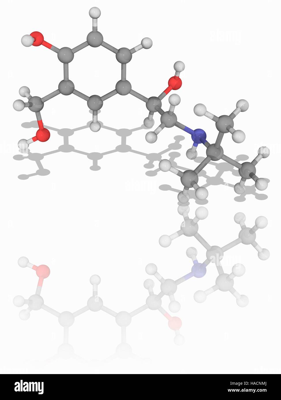 Salbutamol. Molekulares Modell des Medikament Salbutamol (C13. H21. N.O3), auch bekannt als Albuterol, ein kurzwirksames beta2-adrenergen Rezeptor Agonist für Asthma und chronisch obstruktive Lungenerkrankung (COPD) eingesetzt. Atome als Kugeln dargestellt werden und sind farblich gekennzeichnet: Kohlenstoff (grau), Wasserstoff (weiß), Stickstoff (blau) und Sauerstoff (rot). Abbildung. Stockfoto