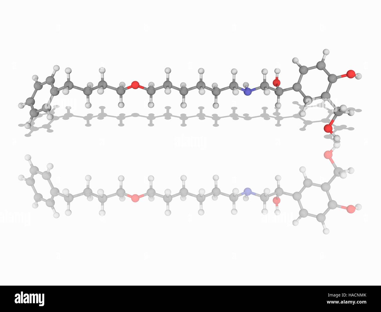 Salmeterol. Molekulares Modell des Wirkstoff Salmeterol (C25. H37. N.O4), vermarktet als Serevent, einem langwirksamen beta2-adrenergen Rezeptor Agonist für Asthma und chronisch obstruktive Lungenerkrankung (COPD) eingesetzt. Atome als Kugeln dargestellt werden und sind farblich gekennzeichnet: Kohlenstoff (grau), Wasserstoff (weiß), Stickstoff (blau) und Sauerstoff (rot). Abbildung. Stockfoto