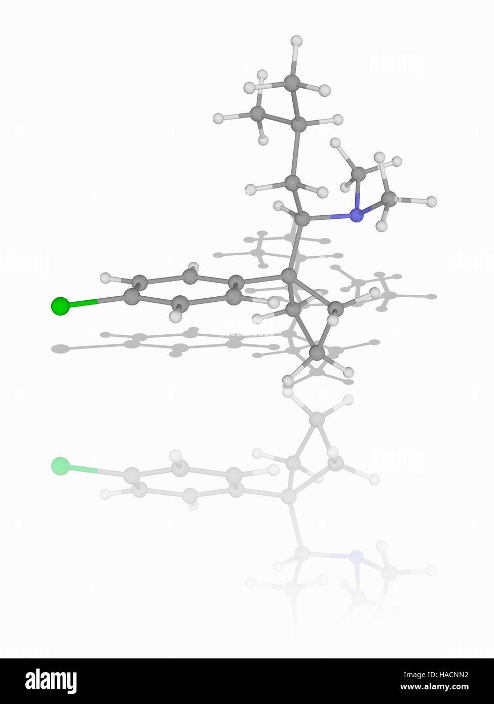 Sibutramin. Molekulares Modell des Medikament Sibutramin (C17.H26.Cl.N), orale Appetitzügler fungiert als Neurotransmitter Reuptake-Inhibitor und zur Behandlung von Fettleibigkeit eingesetzt. Atome als Kugeln dargestellt werden und sind farblich gekennzeichnet: Kohlenstoff (grau), Wasserstoff (weiß), Stickstoff (blau) und Chlor (grün). Abbildung. Stockfoto