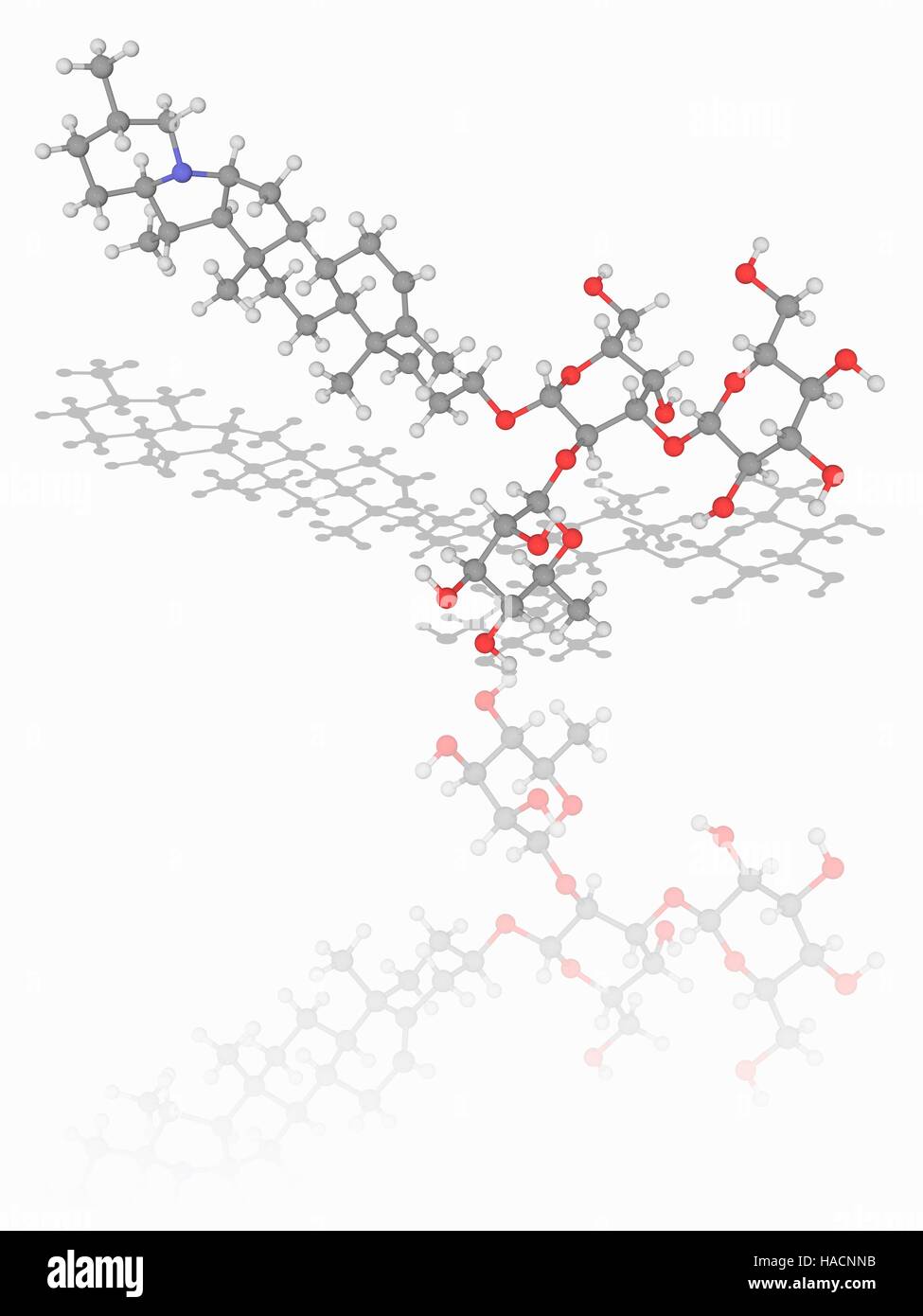 Solanin. Molekülmodell Glykoalkaloid vergiften Solanin (C45. H73. N.O15), gefunden in Pflanzen der Familie der Nachtschattengewächse. Diese Chemikalie hat Fungizide und Pestizide Eigenschaften. Atome als Kugeln dargestellt werden und sind farblich gekennzeichnet: Kohlenstoff (grau), Wasserstoff (weiß) und Sauerstoff (rot). Abbildung. Stockfoto