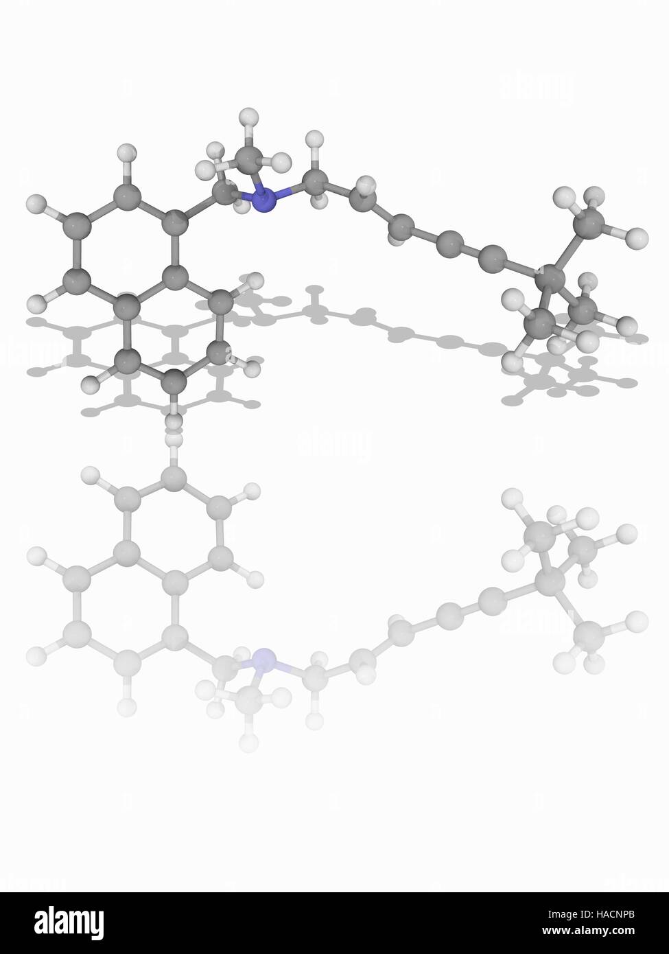 Terbinafin. Molekulares Modell des Wirkstoff Terbinafin (C21. H25. (N), ein synthetisches Allylamine und Anti-Pilz chemische verwendet zur Behandlung von Infektionen durch Dermatophyten Gruppe von Pilzen. Atome als Kugeln dargestellt werden und sind farblich gekennzeichnet: Kohlenstoff (grau), Wasserstoff (weiß) und Stickstoff (blau). Abbildung. Stockfoto