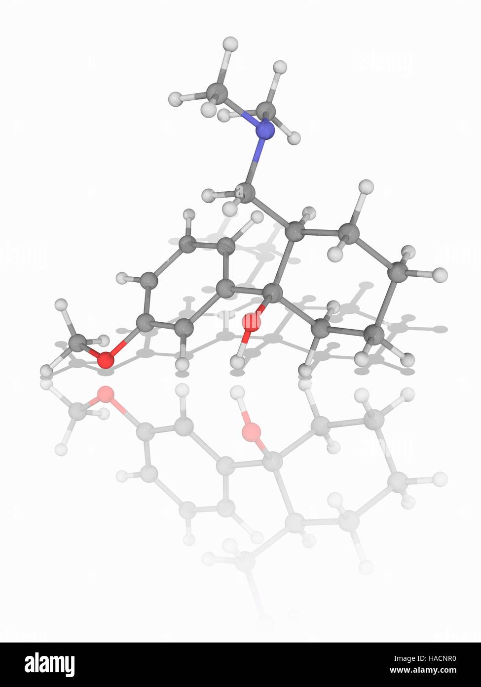 Tramadol. Molekulares Modell des Medikaments Tramadol (C16. H25. N.O2), eine zentral wirkende synthetische opioid-Analgetikum zur Behandlung von starken Schmerzen. Atome als Kugeln dargestellt werden und sind farblich gekennzeichnet: Kohlenstoff (grau), Wasserstoff (weiß), Stickstoff (blau) und Sauerstoff (rot). Abbildung. Stockfoto