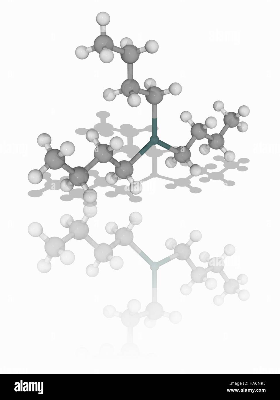 Tributyltin Hydride. Molekulares Modell des Zinn-haltige organische Verbindung Tributyltin Hydride (Sn.C12.H28). Diese farblose Flüssigkeit ist als Quelle von Wasserstoff-Atomen in der organischen Synthese verwendet. Atome als Kugeln dargestellt werden und sind farblich gekennzeichnet: Zinn (dunkelgrün), Kohlenstoff (grau) und Wasserstoff (weiß). Abbildung. Stockfoto