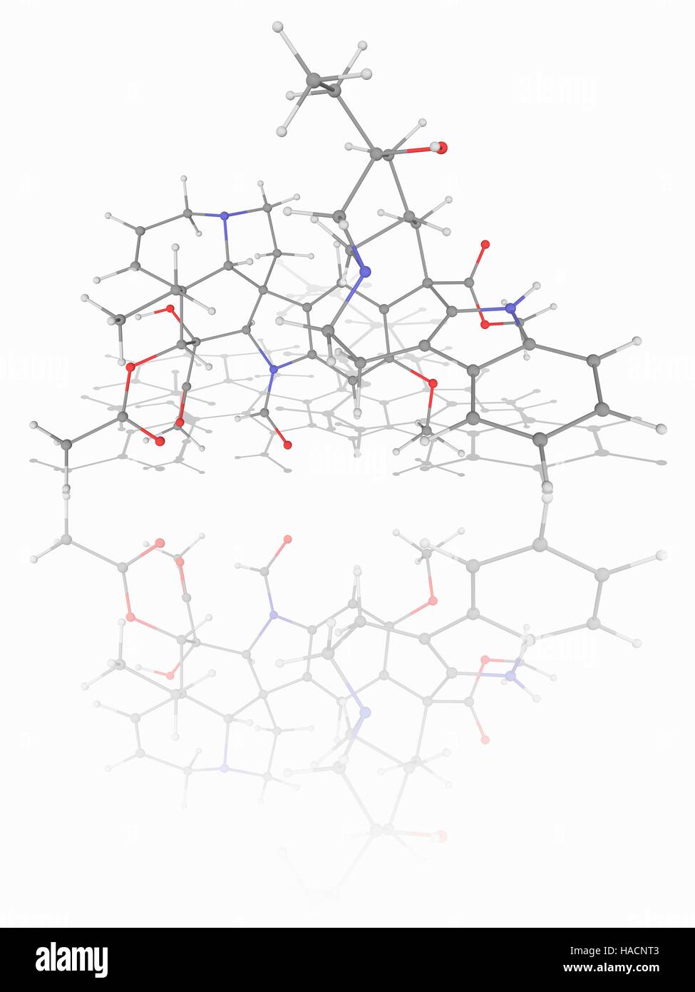 Vincristin. Molekulares Modell des Medikament Vincristin (C46. H56. N4. O10), eine mitotische Inhibitor in der Krebschemotherapie verwendet. Atome als Kugeln dargestellt werden und sind farblich gekennzeichnet: Kohlenstoff (grau), Wasserstoff (weiß), Stickstoff (blau) und Sauerstoff (rot). Abbildung. Stockfoto