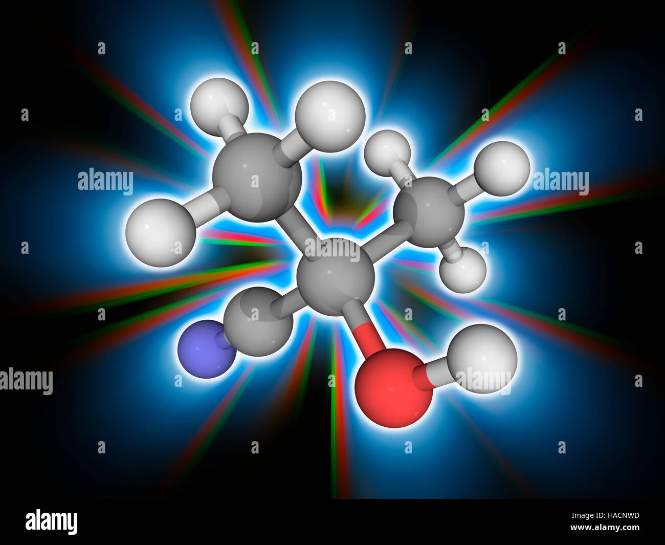 Azeton Cyanohydrin. Molekulares Modell des organischen Verbindung Azeton Cyanohydrin (C4. H7. NAVI). Diese organische Verbindung wird bei der Herstellung von Kunststoffen wie Acryl verwendet. Atome als Kugeln dargestellt werden und sind farblich gekennzeichnet: Kohlenstoff (grau), Wasserstoff (weiß), Stickstoff (blau) und Sauerstoff (rot). Abbildung. Stockfoto