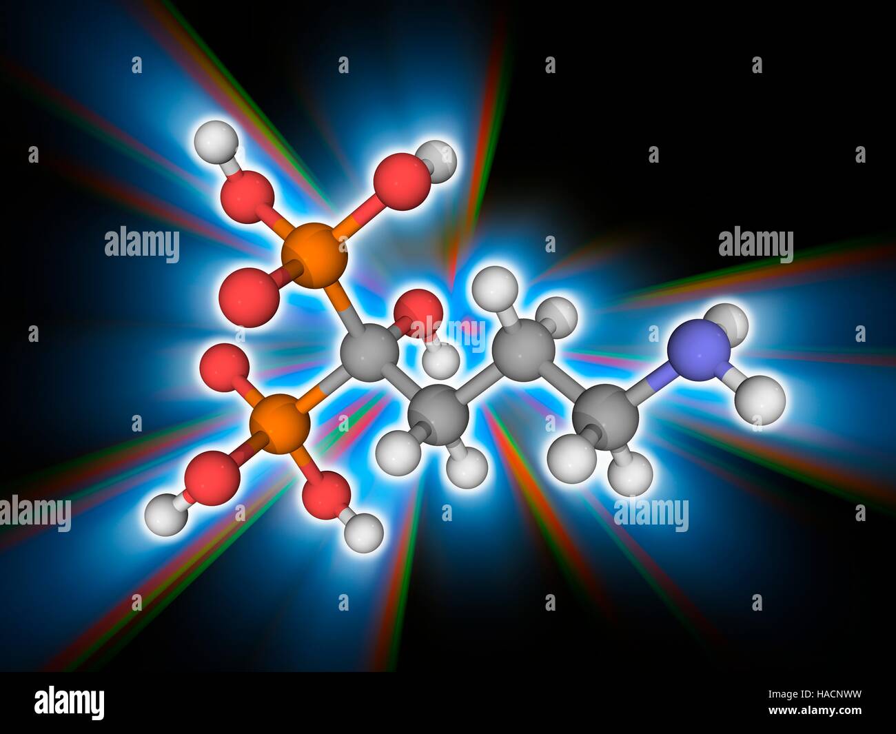 Alendronic Säure. Molekülmodell der Biphosphonat Medikament Alendronic Säure (C4. H13. N.O7. P2), zur Behandlung von Osteoporose verwendet. Atome als Kugeln dargestellt werden und sind farblich gekennzeichnet: Kohlenstoff (grau), Wasserstoff (weiß), Stickstoff (blau), Sauerstoff (rot) und Phosphor (Orange). Abbildung. Stockfoto