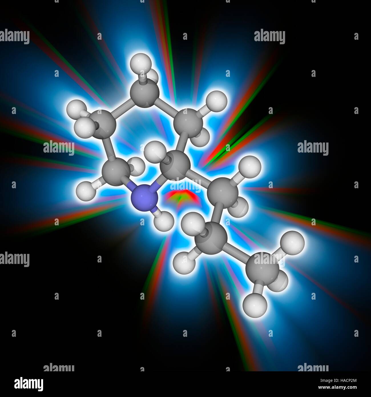 Coniine. Molekülmodell Nervengift Coniine (C8. H17. (N). gefunden in Poison Hemlock und die gelbe Schlauchpflanze, dieses tödlichen Giftes stört das periphere Nervensystem. Atome als Kugeln dargestellt werden und sind farblich gekennzeichnet: Kohlenstoff (grau), Wasserstoff (weiß) und Stickstoff (blau). Abbildung. Stockfoto