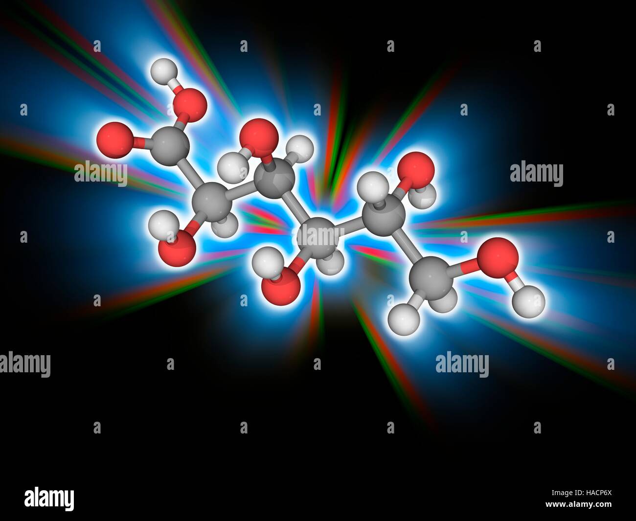 Glucon-Säure. Molekülmodell der organischen Verbindung Glukon-Säure (C6. H12. O7). Diese Säure kommt natürlicherweise in Obst, Honig und Wein. Atome als Kugeln dargestellt werden und sind farblich gekennzeichnet: Kohlenstoff (grau), Wasserstoff (weiß) und Sauerstoff (rot). Abbildung. Stockfoto
