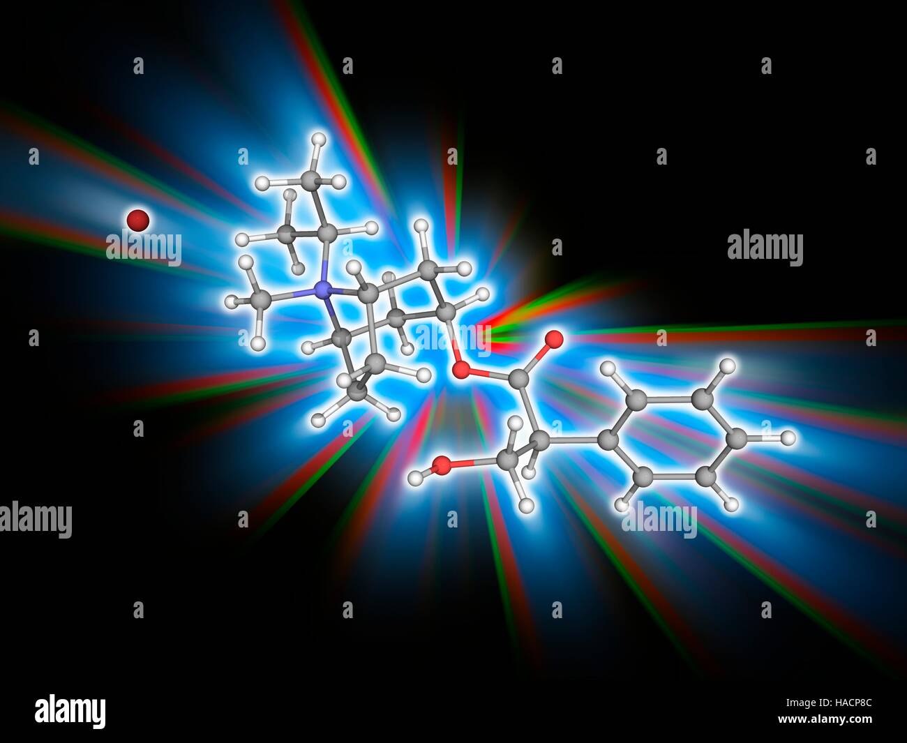 Ipratropium Bromid. Molekülmodell von Anticholinergika Medikament Ipratropium Bromid (C20. H30. Br.N.O3). Dies wird verwendet für die Behandlung akuter Asthma und chronisch obstruktive Lungenerkrankung. Es wirkt durch die Blockade der Acetylcholin-Rezeptoren. Atome als Kugeln dargestellt werden und sind farblich gekennzeichnet: Kohlenstoff (grau), Wasserstoff (weiß), Stickstoff (blau), Sauerstoff (rot) und Brom (braun, Brom Ion auf der linken Seite). Abbildung. Stockfoto