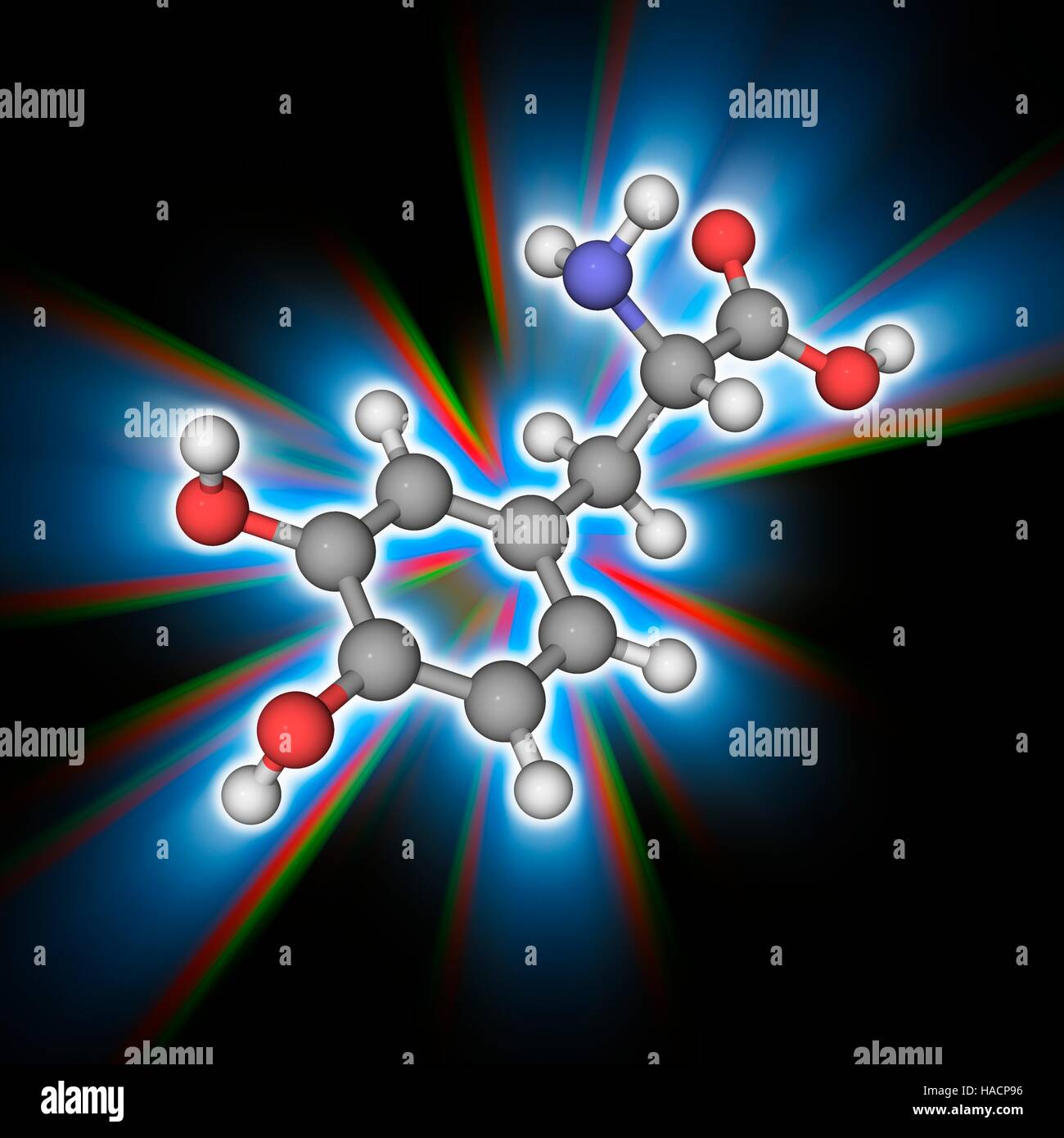 Levodopa. Molekulares Modell des Medikaments Levodopa (C9. H11. N.O4), auch bekannt als l-Dopa (l-3, 4-Dihydroxyphenylalanine). Dieses Medikament wird zur Behandlung der Parkinson-Krankheit und Dopamin-responsive Dystonie verwendet. Atome als Kugeln dargestellt werden und sind farblich gekennzeichnet: Kohlenstoff (grau), Wasserstoff (weiß), Stickstoff (blau) und Sauerstoff (rot). Abbildung. Stockfoto