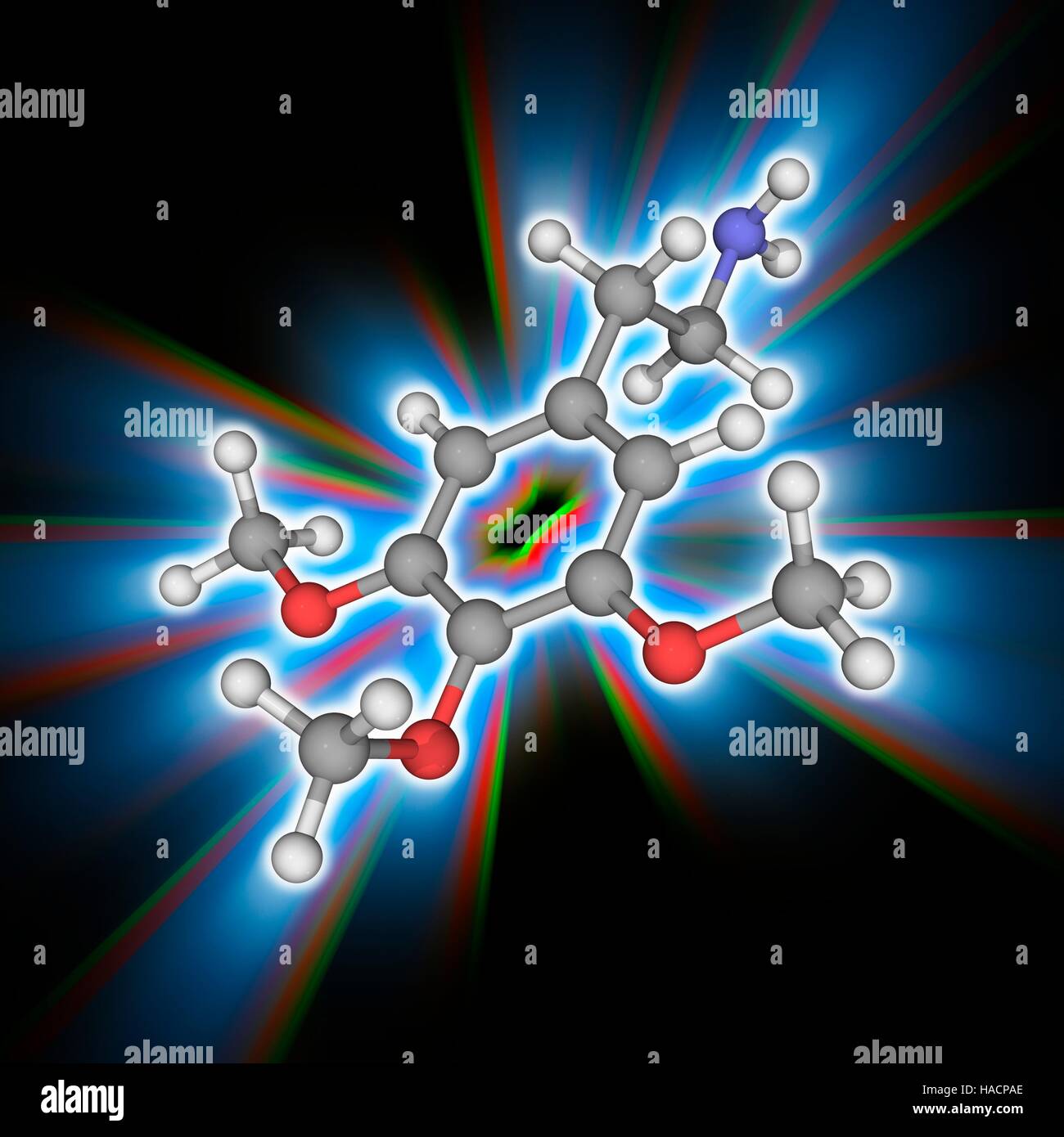 Meskalin. Molekülmodell von Phenethylamine Droge Meskalin (C11. H17. N.O3), ein natürlich vorkommendes Alkaloid psychedelische. Es hat die Droge LSD ähnlich halluzinogene Wirkung. Atome als Kugeln dargestellt werden und sind farblich gekennzeichnet: Kohlenstoff (grau), Wasserstoff (weiß), Stickstoff (blau) und Sauerstoff (rot). Abbildung. Stockfoto