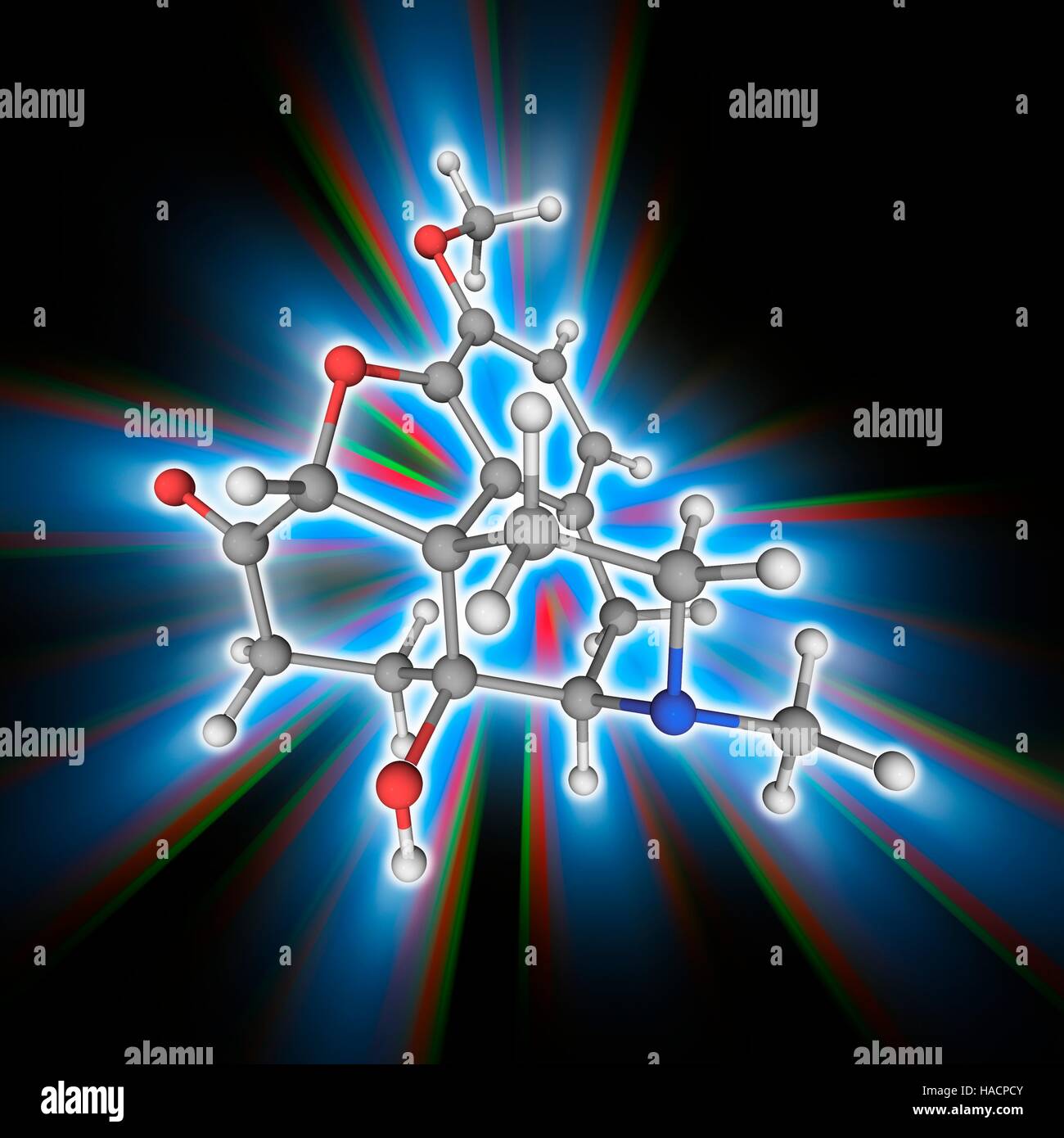 Oxycodon. Molekülmodell von opioid-Analgetikum Oxycodon (C18. H21. N.O4), zur Behandlung von mittelschwerer bis schwerer Schmerz. Atome als Kugeln dargestellt werden und sind farblich gekennzeichnet: Kohlenstoff (grau), Wasserstoff (weiß), Stickstoff (blau) und Sauerstoff (rot). Abbildung. Stockfoto