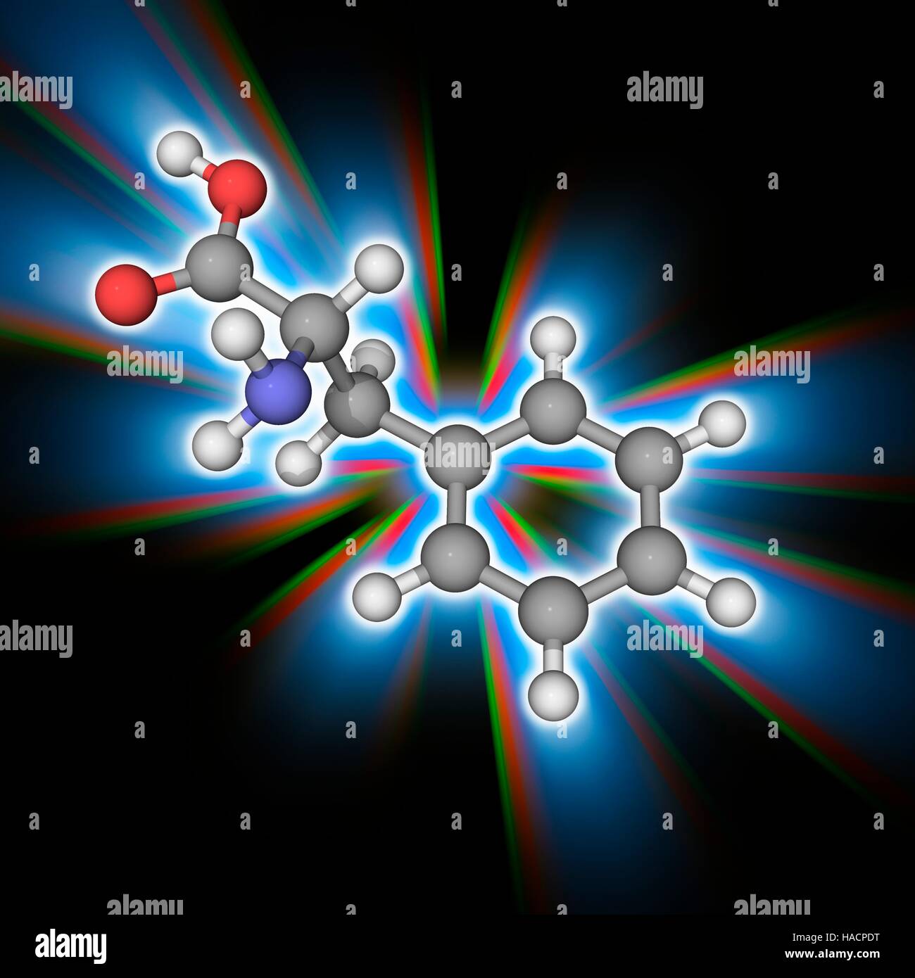 Phenylalanin. Molekulares Modell des wesentlichen Alpha-amino Acid Phenylalanin (C9. H11. N.O2), einer der 20 gemeinsame Aminosäuren verwendet, um Form Proteine. Atome als Kugeln dargestellt werden und sind farblich gekennzeichnet: Kohlenstoff (grau), Wasserstoff (weiß), Stickstoff (blau) und Sauerstoff (rot). Abbildung. Stockfoto