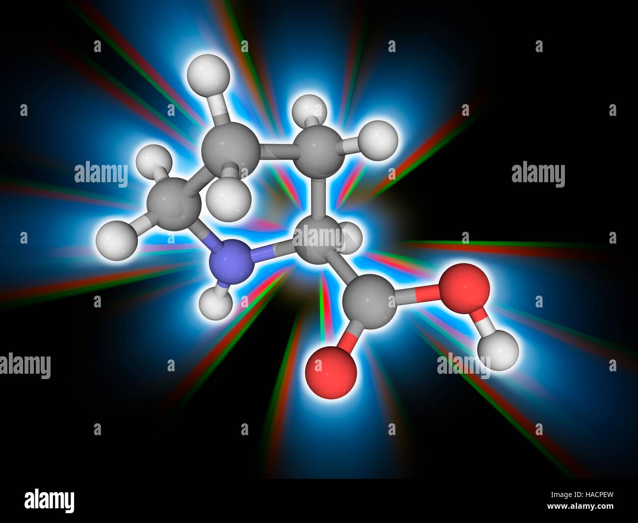 Prolin. Molekulares Modell des Alpha-amino Acid Proline unwesentliche (C5. H9. N.O2), eines der 20 DNA-kodierten Aminosäuren. Atome als Kugeln dargestellt werden und sind farblich gekennzeichnet: Kohlenstoff (grau), Wasserstoff (weiß), Stickstoff (blau) und Sauerstoff (rot). Abbildung. Stockfoto