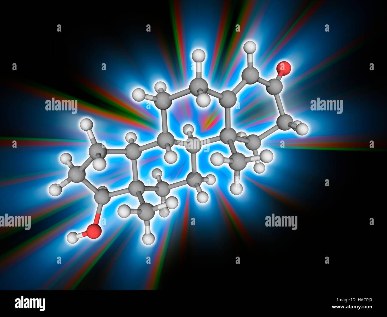 Testosteron. Molekülmodell des Steroid-Hormons Testosteron (C19. H28. O2). In den meisten Wirbeltieren gefunden, spielt es eine Schlüsselrolle bei der Entwicklung der männlichen reproduktiven Gewebe einschließlich der Organe wie Hoden und Prostata. Atome als Kugeln dargestellt werden und sind farblich gekennzeichnet: Kohlenstoff (grau), Wasserstoff (weiß) und Sauerstoff (rot). Abbildung. Stockfoto