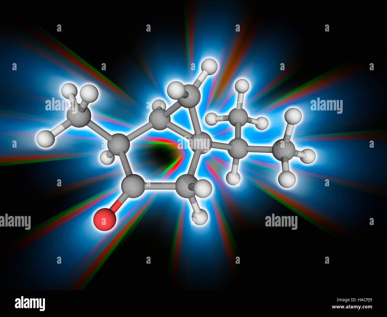 Thujon. Molekulares Modell des organischen Verbindung Thujon (C10. H16. (O). es ist chemisch ein Keton und einem Monoterpen. Es hat einen Menthol Geruch und findet sich in den Geist Absinth. Wenn getrunken, wirkt Thujon als ein GABA-A (Gamma - Aminobuttersäure)-Rezeptor-Antagonisten. Atome als Kugeln dargestellt werden und sind farblich gekennzeichnet: Kohlenstoff (grau), Wasserstoff (weiß) und Sauerstoff (rot). Abbildung. Stockfoto