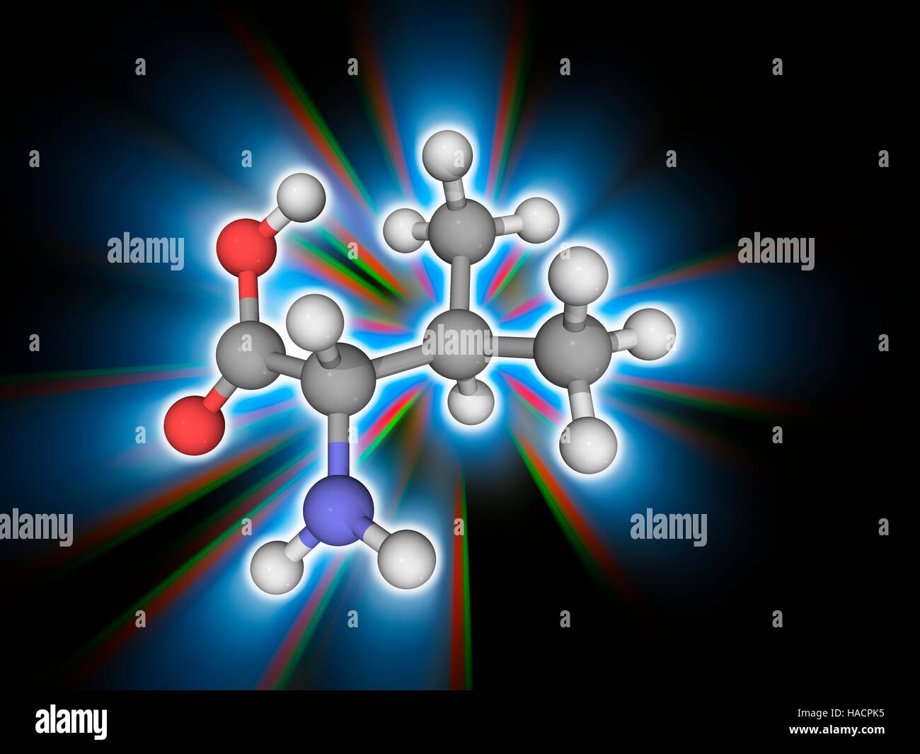 Valin. Molekulares Modell des wesentlichen Alpha-amino Acid Valin (C5. H11. N.O2), eines der 20 proteinogene Aminosäuren. Atome als Kugeln dargestellt werden und sind farblich gekennzeichnet: Kohlenstoff (grau), Wasserstoff (weiß), Stickstoff (blau) und Sauerstoff (rot). Abbildung. Stockfoto