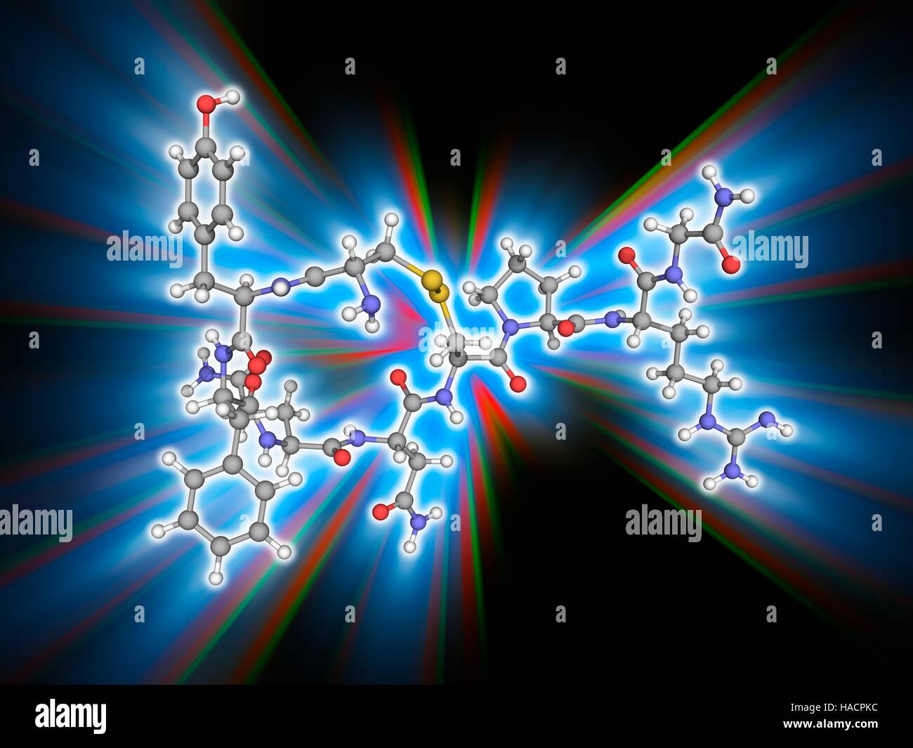 Vasopressin. Molekulares Modell des Hormons Vasopressin (C46. H65. N13. O12. S2). Dieses neurohypophysären Hormon, fand bei den meisten Säugetieren, steuert die Resorption von Wasser-Moleküle in der Nieren-Tubuli. Atome als Kugeln dargestellt werden und sind farblich gekennzeichnet: Kohlenstoff (grau), Wasserstoff (weiß), Stickstoff (blau), Sauerstoff (rot) und Schwefel (gelb). Abbildung. Stockfoto