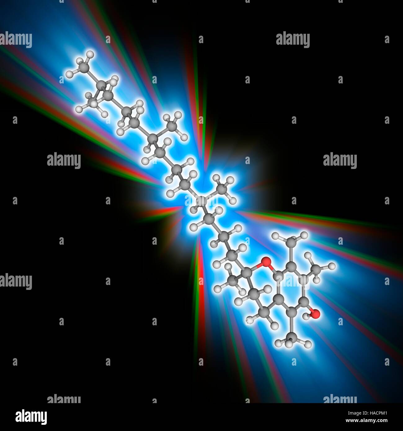 Vitamin E. Molecular Modell von Alpha-Tocopherol (C29. H50. O2), führt die biologisch aktive Form von Vitamin e-Mangel an diesem Vitamin zu neuromuskulären Problemen. Atome als Kugeln dargestellt werden und sind farblich gekennzeichnet: Kohlenstoff (grau), Wasserstoff (weiß) und Sauerstoff (rot). Abbildung. Stockfoto