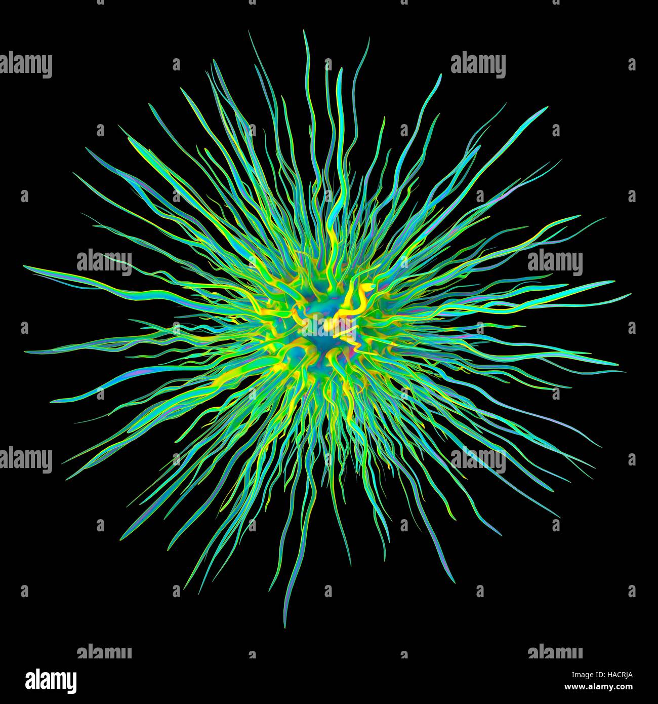 Dendrimer Fotos und Bildmaterial in hoher Auflösung Alamy