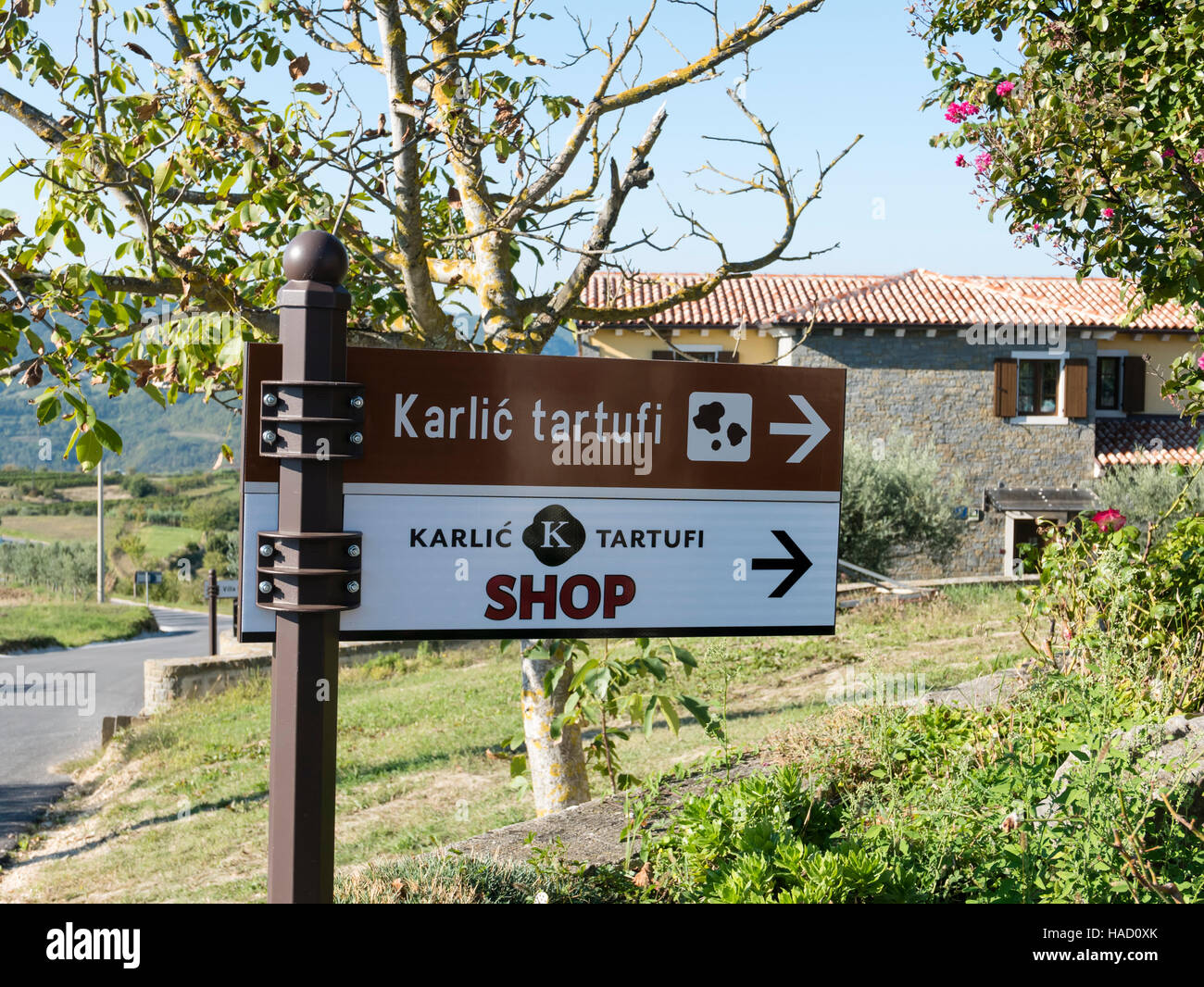 Karlic Trüffeln Paladini, Buzet, Istrien, Kroatien. Stockfoto